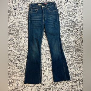 Pilcro Anthropologie The Icon Flare Jeans